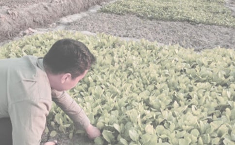 �P(gu��n)���r(n��ng)����N��ͬ���ļ���9ƪ