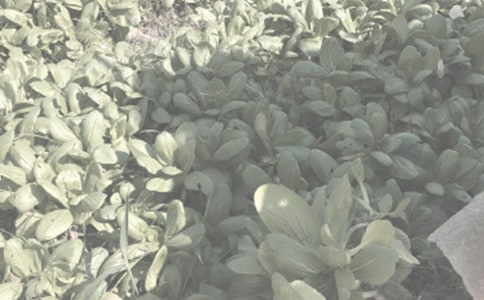 �r(n��ng)����N��ͬ���ļ��\10ƪ