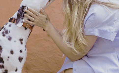 Ů���ھ���������罻�Y�x���R