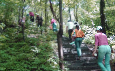 ��ɽ��(y��u)�����ģ��؂䣩