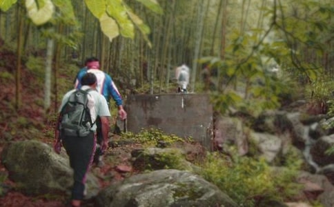 �P(gu��n)����ɽ�ă�(y��u)������