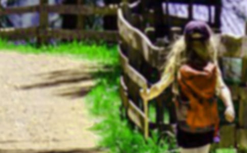 爬山優(yōu)秀作文(大全15篇)