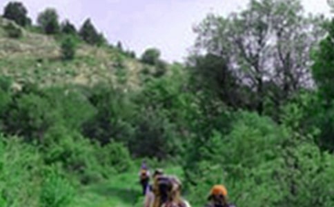 ��ɽ��(y��u)������15ƪ(���])