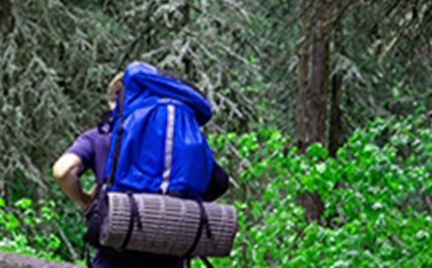 ������ɽ������