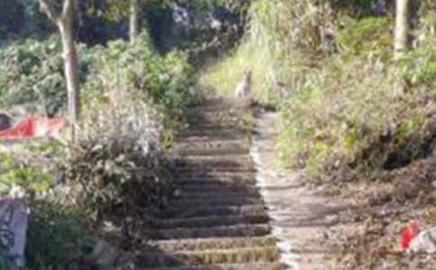 ��ɽ•̫�(y��ng)•��(m��ng)