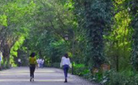 ���؂䣩��ɽ��(y��u)������