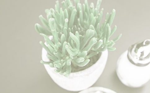 С��������