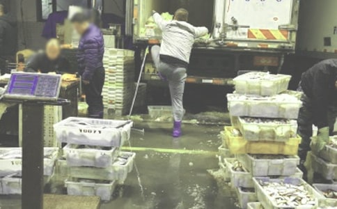 ��Ʒ���l(f��)ُ�N��ͬ��(j��ng)��3ƪ