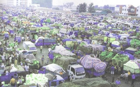 藥品批發(fā)企業(yè)自查報告15篇