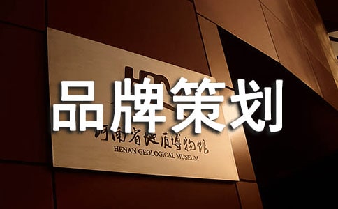 企業(yè)品牌策劃方案