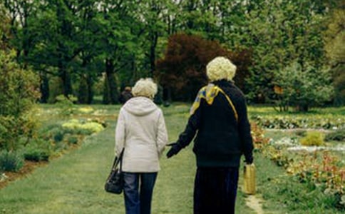 ���ŵĐ�����