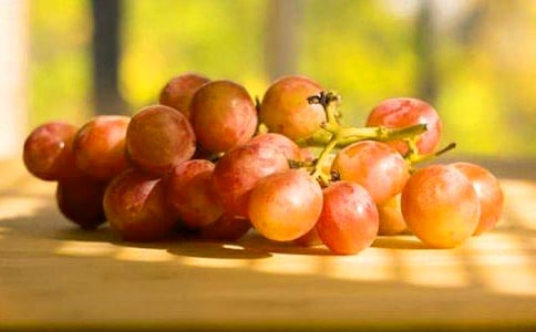 葡萄“酒”作文