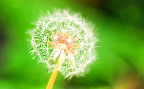 �׽��а����g(sh��)�̰����ѹ�Ӣ