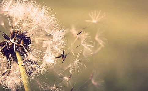 С�����g(sh��)�ѹ�Ӣ�̰�