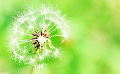 �������ѹ�Ӣ��(l��)־Ψ������150��