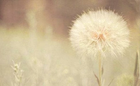 �ѹ�Ӣ�N������