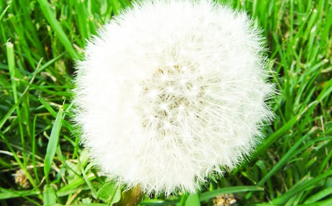 �ѹ�Ӣ�ļs��