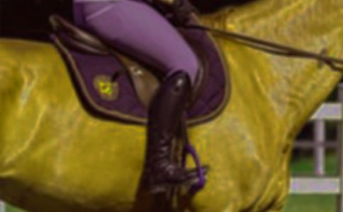 騎馬優(yōu)秀作文(精選26篇)