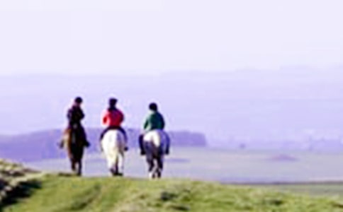 �����]����һ���T�R����