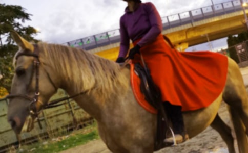 【熱門】第一次騎馬作文