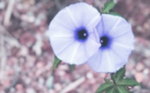 ������������