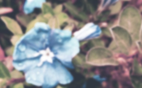 �茑����������������