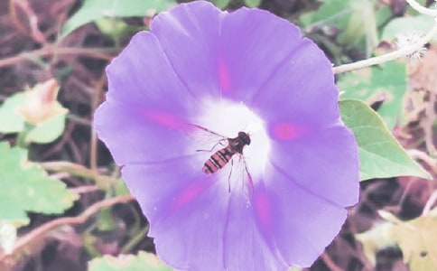 �Ґ۠�������(y��u)������