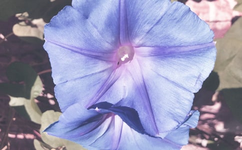 ����������������