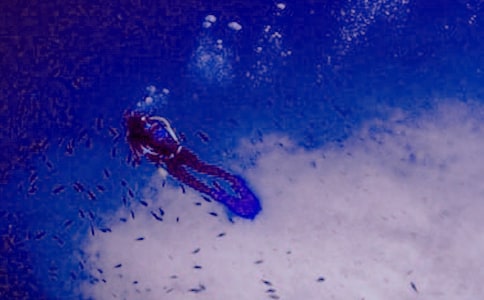 �y���ĝ�ˮ��(j��ng)�v����