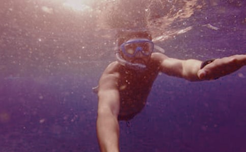 (精華)潛水優(yōu)秀作文10篇