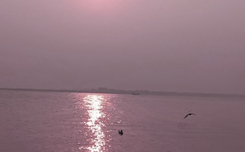 [�ϼ�]�ػʍu����