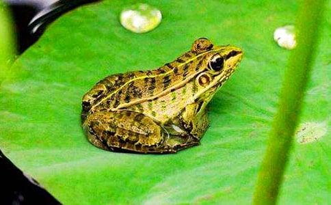 С�W�����o���ܵ�����(����)