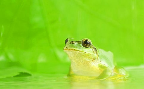 С�������﹡�w���̰�