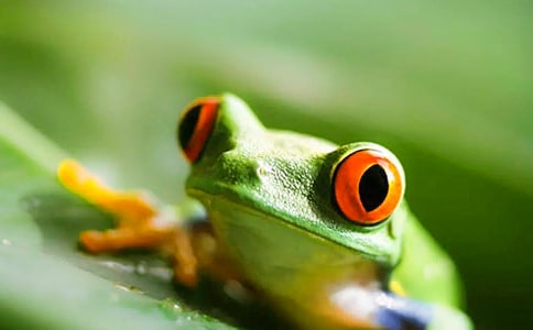 ���o(h��)���ܵ�����