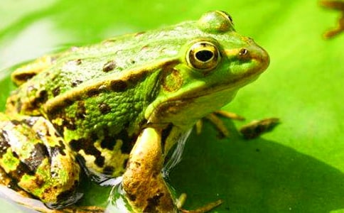 С�W(xu��)�����o���ܵ����ģ�����5ƪ��