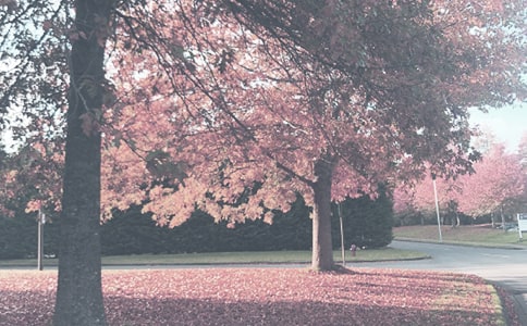 �＾�l(w��i)����������Ӌ��(14ƪ)