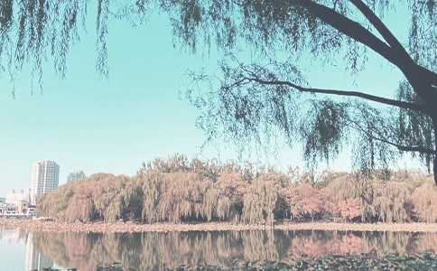 С�W(xu��)�＾����꠹������Y(ji��)