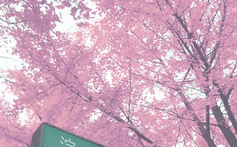 С�W�＾�W������꠹���Ӌ����ͨ��12ƪ��