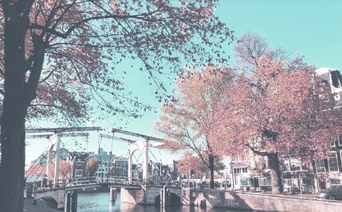 �＾�y(t��ng)һ���������Y�����x12ƪ��