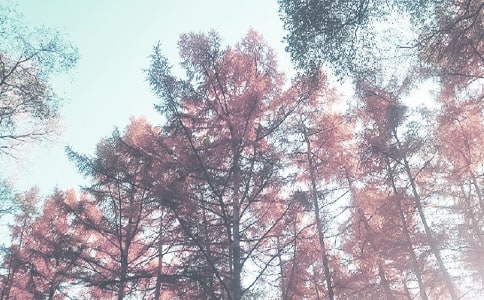 �＾�W(xu��)�ڵ����������(du��)������Ӌ(j��)��