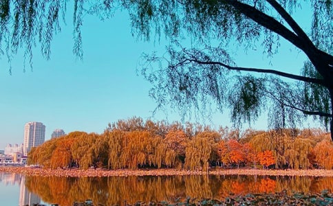 ����˽�Z(y��)��(y��u)������