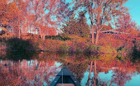 秋日絮語作文700字