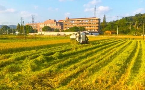 �����ա�