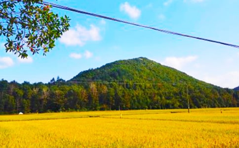 ���Ճ�(y��u)������