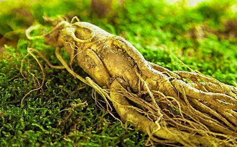 ���˅��c�h(hu��n)�����o(h��)����(hu��)�̰���ͨ��8ƪ��