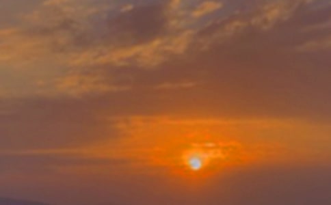 �����A�������������ƪ