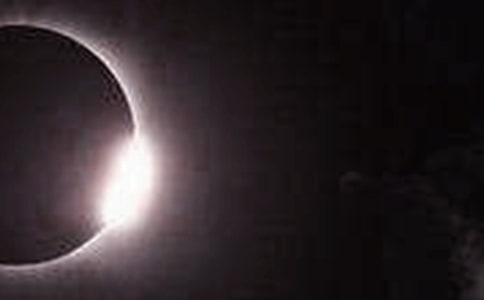 ��ʳ��(y��u)������