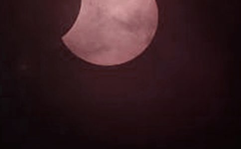 日食優(yōu)秀作文8篇(熱門)