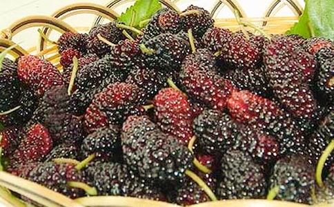 ժɣ�����ģ�ͨ��25ƪ��