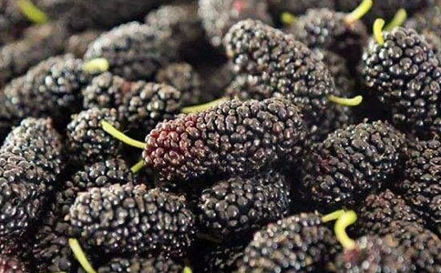 (�؂�)ժɣ������